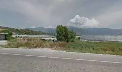 Çobanoğlu Fi̇de