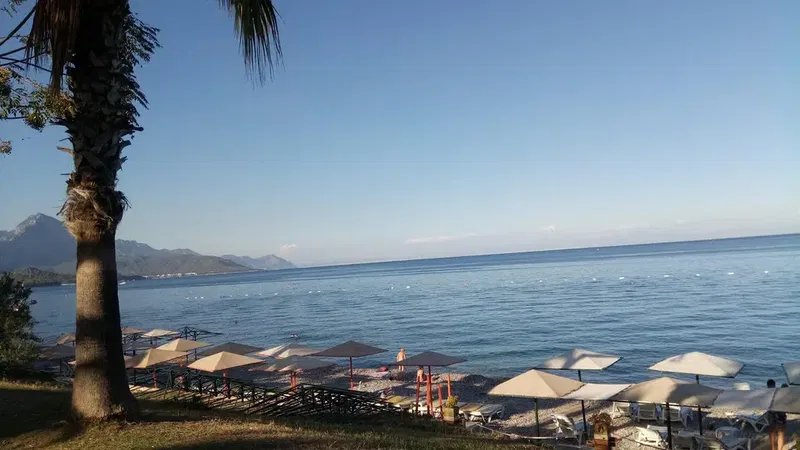 Çocuk Parkı - Photo 6
