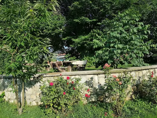 Child park