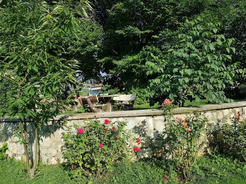 Child park - Photo 1