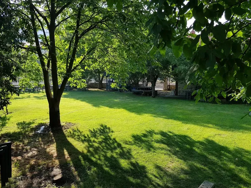Child park - Photo 3