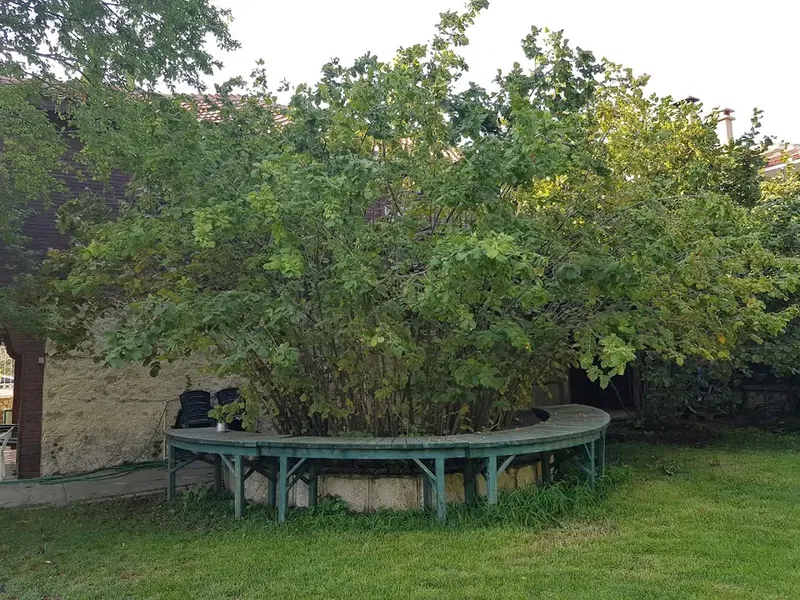 Child park - Photo 4
