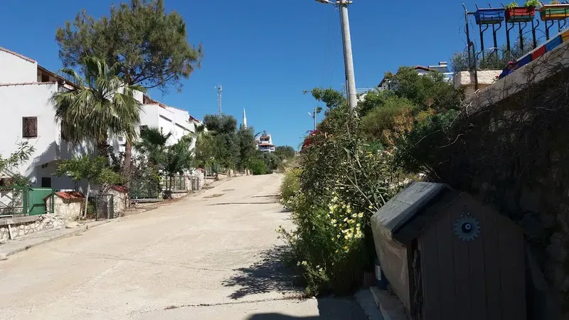 Child park - Photo 7
