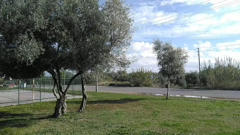Çocuk Parkı - Photo 2