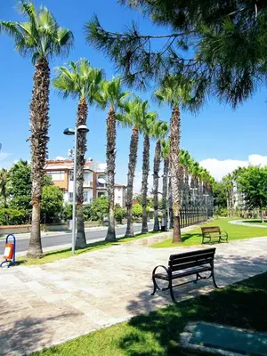 Child park
