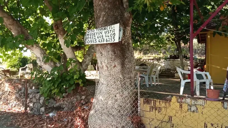 Çürük - Photo 2