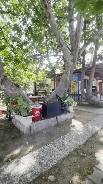 Çınaraltı Büfe - Photo 2
