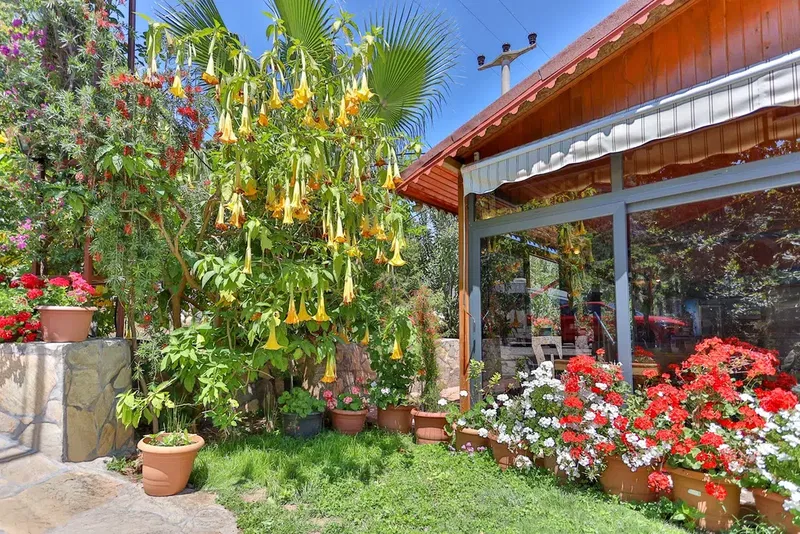 Çıralı Cinderella Pansiyon - Photo 7