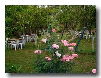 Pensions Çıralı Coast - Photo 6
