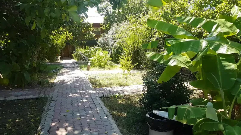 Pensions Çıralı Coast - Photo 8