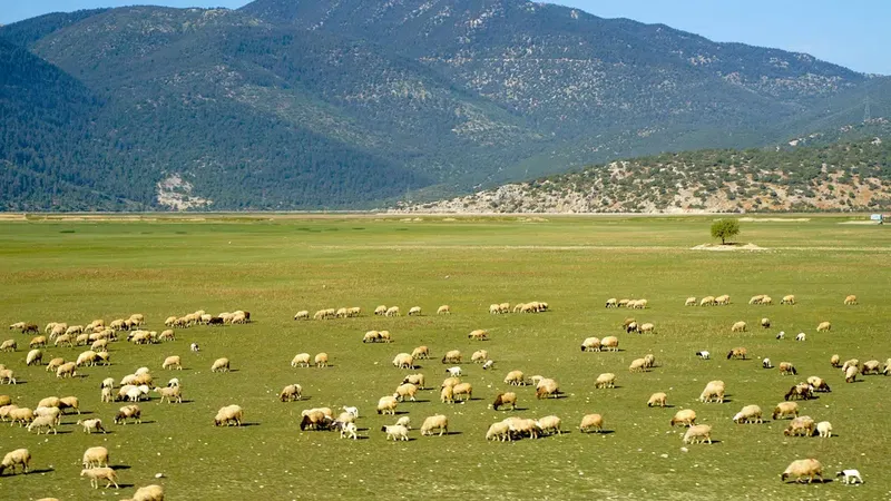Çığlıkara Nature Reserve - Photo 1