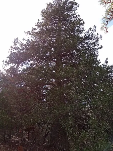 Çığlıkara Nature Reserve - Photo 5