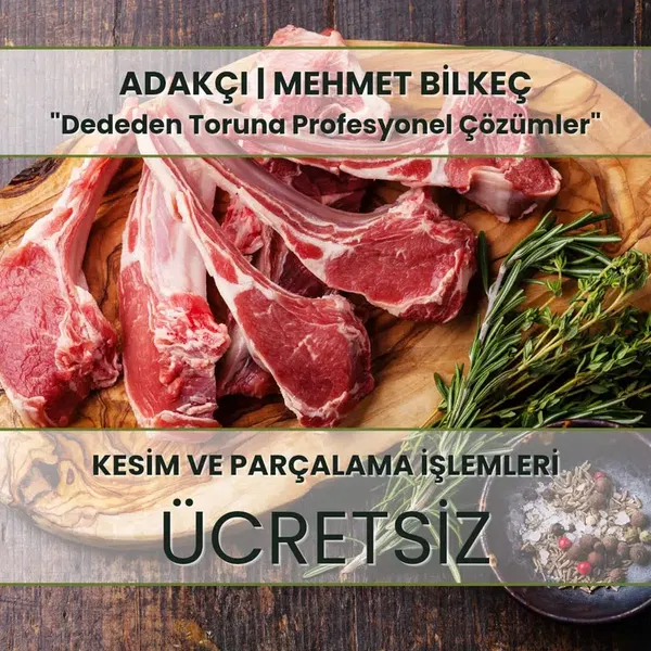 Ötüken Besi - Photo 5