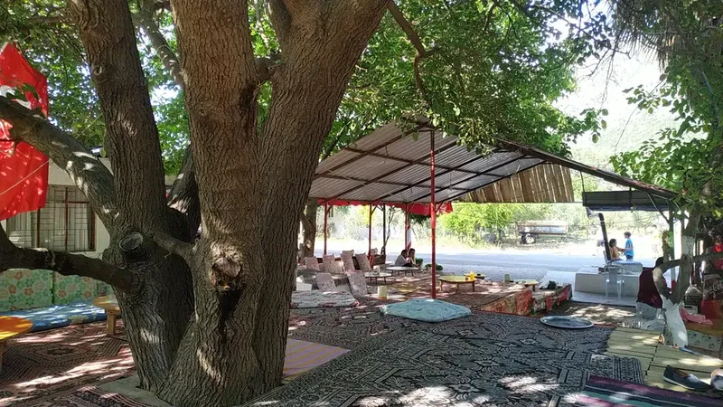 Öz Piknik - Photo 8
