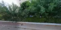 öz Umut Sitesi