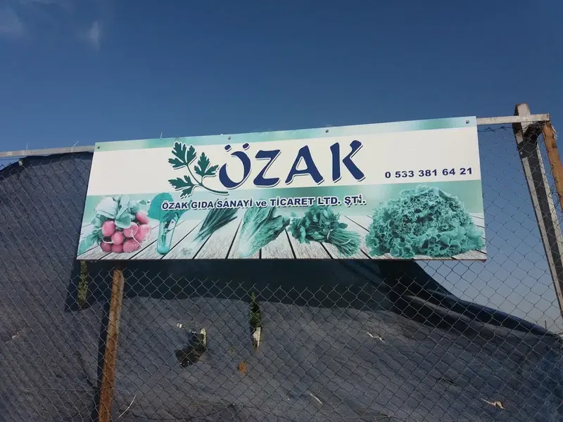 Özak - Photo 2