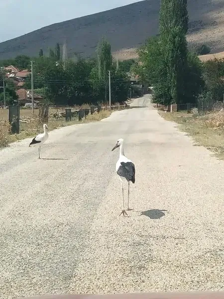 Özdemir Çocuk Parki - Photo 5