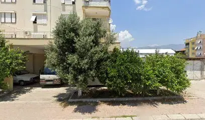Özel Anka İöo