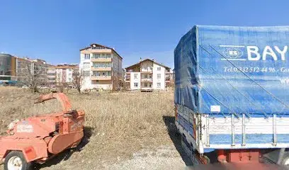 Özel Beyşehir Telvin Sanat Akademisi
