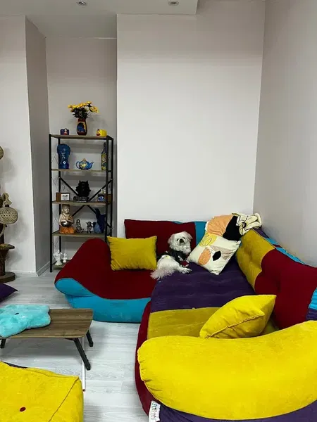 Özel Ponyo Kültür Ve Sanat Akademi̇si̇ - Photo 4