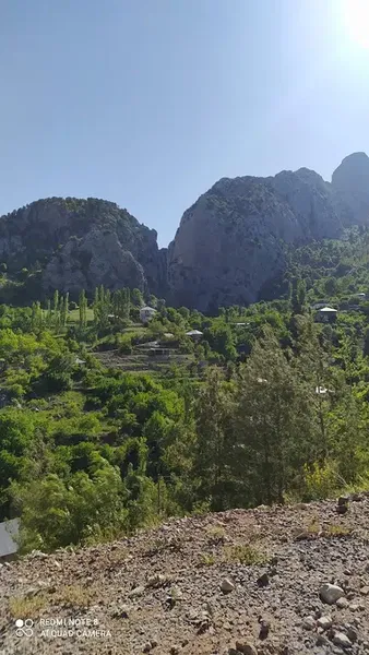 Özen - Photo 2