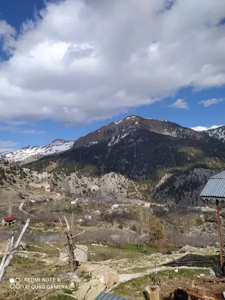 Özen - Photo 3