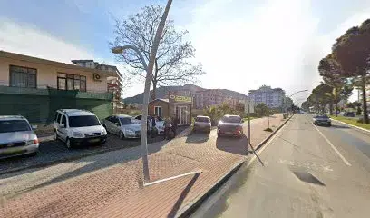 Özgün Otomotiv