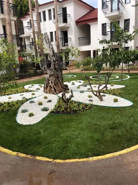 Özgür Botanik - Photo 7