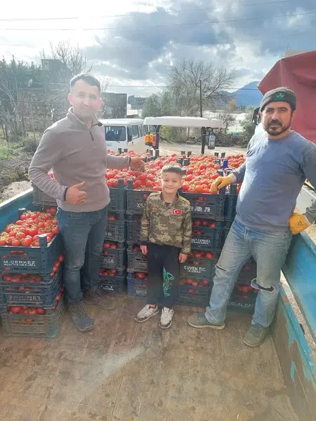 Özgür Tarım Domates Alim yeri - Photo 7
