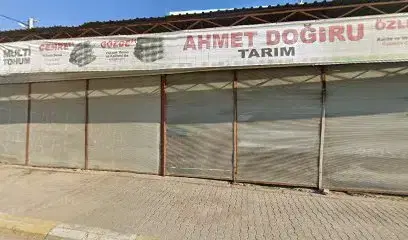 Öztürk Zeytin & Meyve Fidanliği