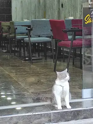 Öğretmen Kırtasiye