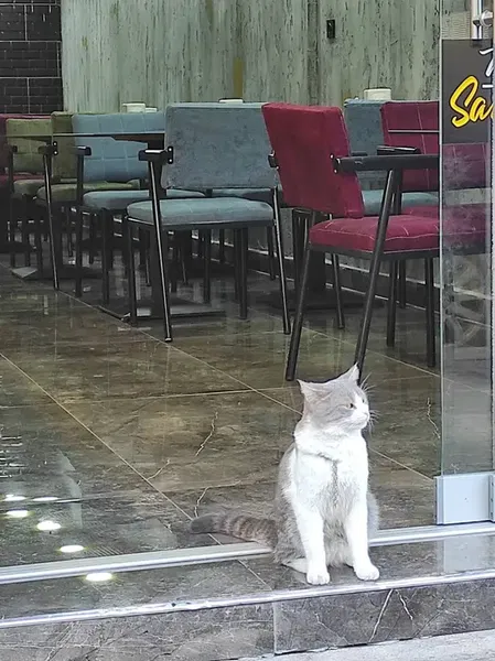 Öğretmen Kırtasiye - Photo 1