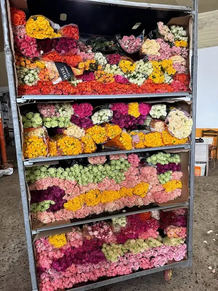 Ün Tarım - Photo 5