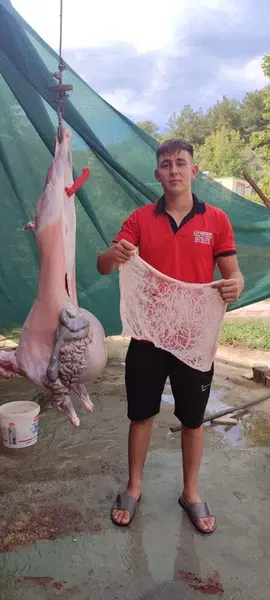 Üresi̇n Besi̇ci̇li̇k Adaklik Ve Kurbanlik - Photo 3