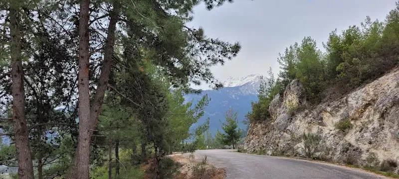 Üçoluk İlkokulu - Photo 3