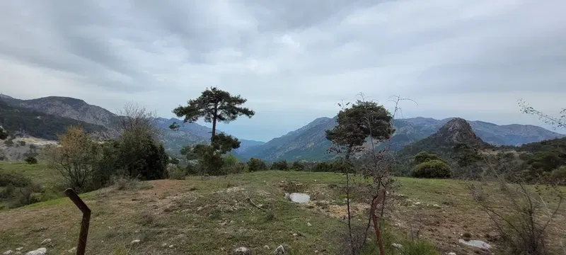 Üçoluk İlkokulu - Photo 4