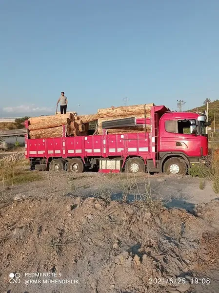Şahin Kereste - Photo 2