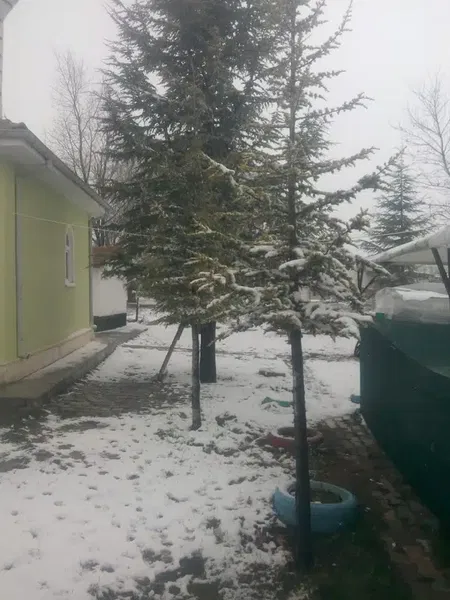 Şahin Mola Cafe Market Çay Tost Ve Sâc Boregi Cesitleri lzgara Sigara Ve Tütün Mamuller - Photo 4