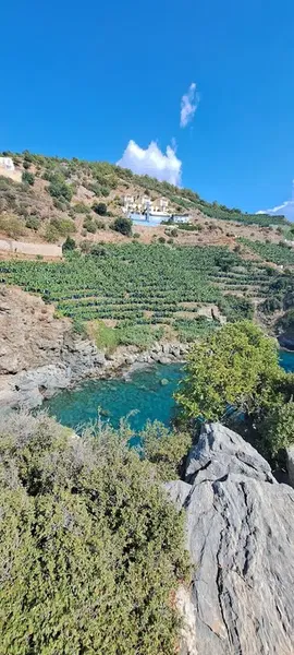 Şan Kaya - Photo 8