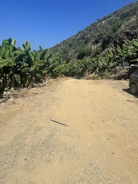 Şan Kaya - Photo 10