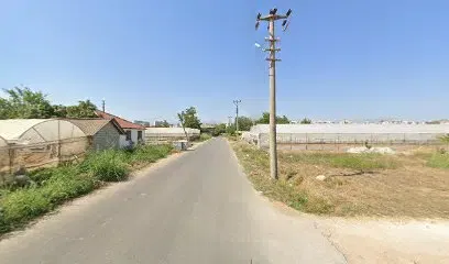 Şanoğlu Adaklik Kurbanlik - Photo 1