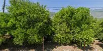Şehi̇t Adem Ovar İlköğreti̇m Okulu