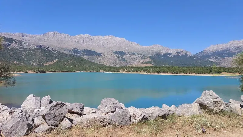Şehit Muhsin Kiremitçi Mesire Yeri - Photo 3