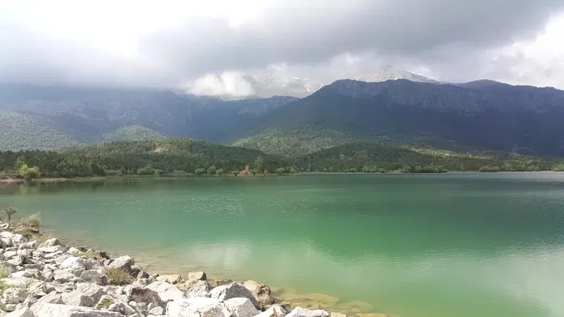 Şehit Muhsin Kiremitçi Mesire Yeri - Photo 8