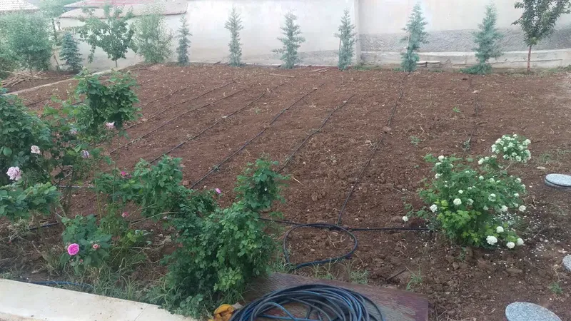 Şems İlim Araştırma Vakfı- Saideli Medresesi - Photo 5
