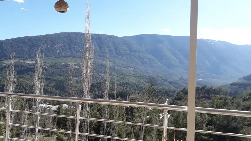 Şentürkler Alabalık Restaurant - Photo 3