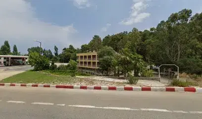 Şipşak kokoreç köfte