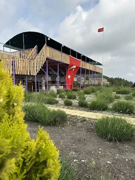 Şirin çardak Gazipaşa - Photo 3