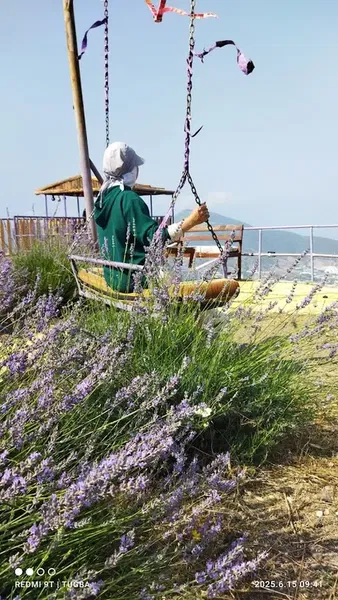 Şirin çardak Gazipaşa - Photo 5