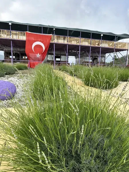 Şirin çardak Gazipaşa - Photo 8
